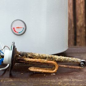 shutterstock_1116287372